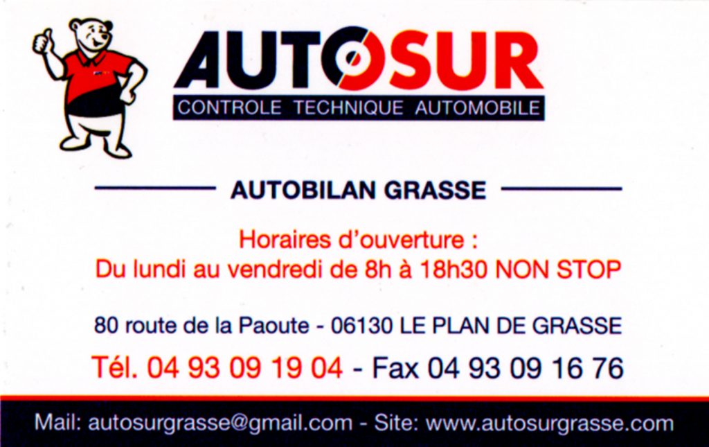 logo autosur