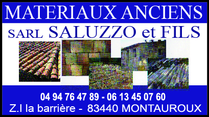 logo saluzzo